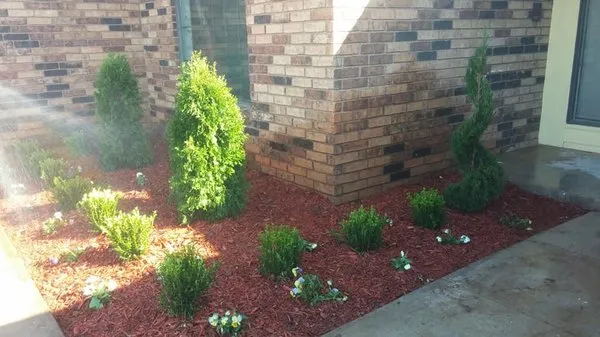 Junior's Lawn Service