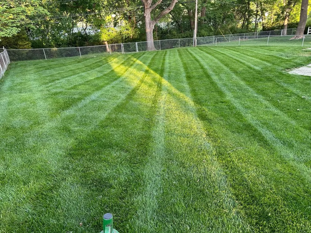 Affordable outdoor landscaping experts serving Independence, MO - Junior’s Lawn Service