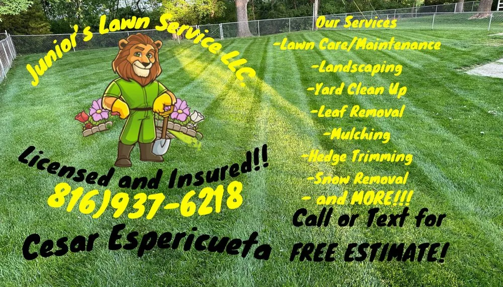 Trusted landscape design for year-round maintenance across Independence, MO - Junior’s Lawn Service