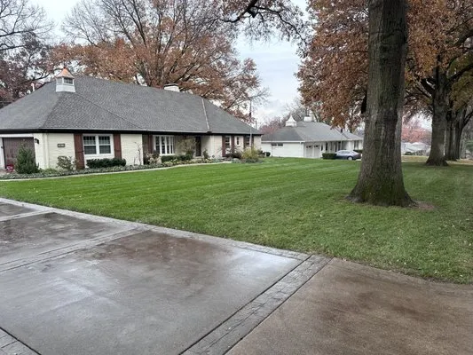 Junior’s Lawn Service Logo