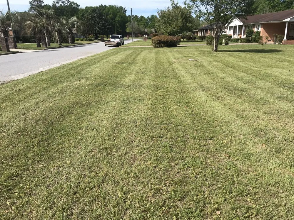 Affordable landscaping services experts serving Sumter, SC - Junior’s lawncare & landscaping