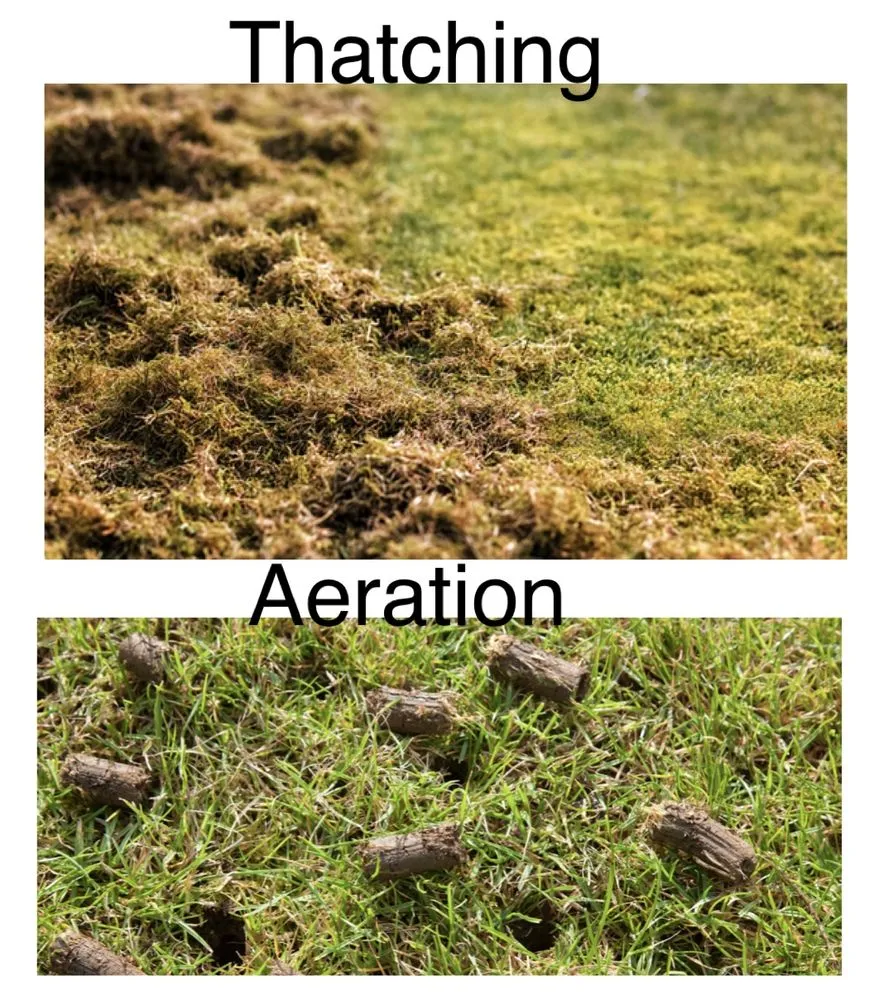 Expert yard maintenance in Quincy, WA by Juniors mowing