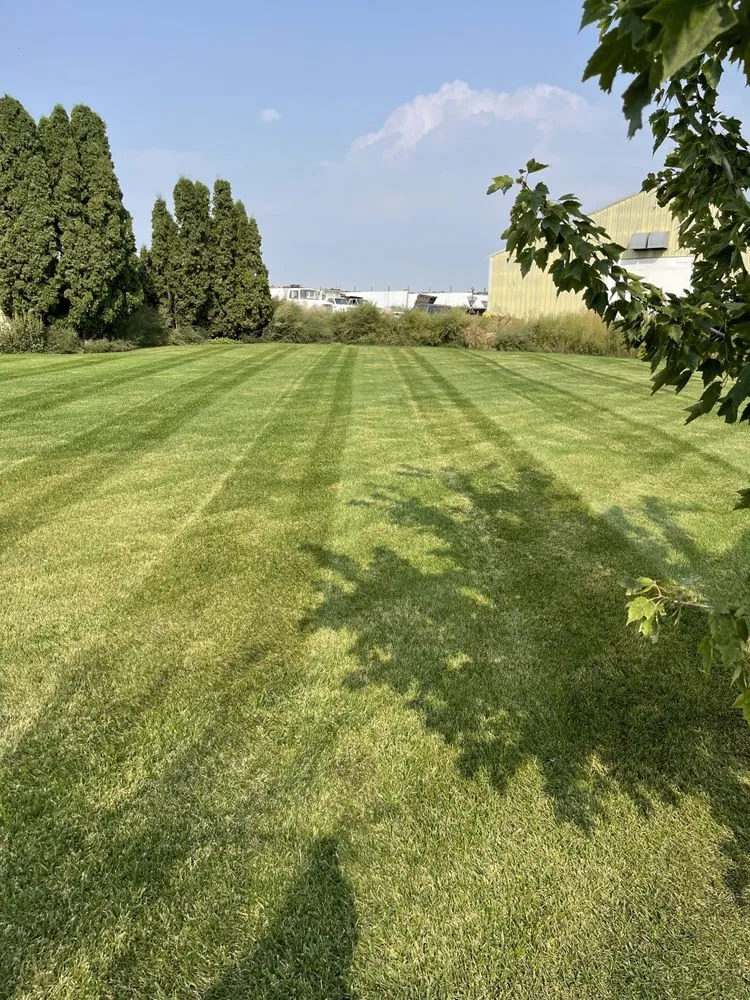 Professional lawn mowing service with custom design across Quincy, WA - Juniors mowing