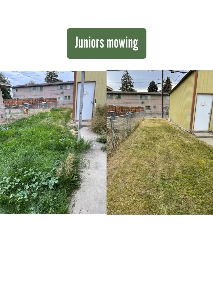 Top-rated yard maintenance with custom design across Quincy, WA - Juniors mowing
