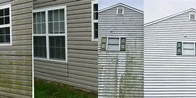 Expert yard cleanup service near you in Denham Springs, LA by Junior's Pressure Washing and Landscaping