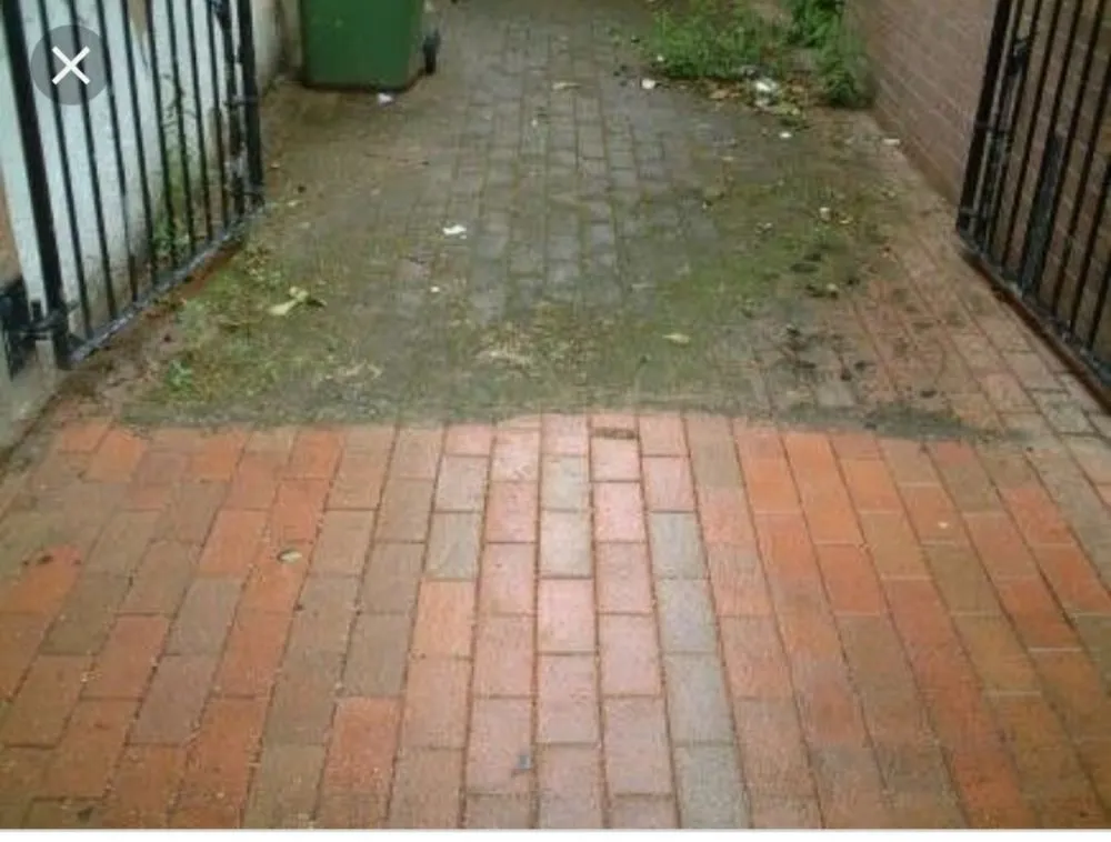 Local landscape installation in Harvey, LA - Juniors Pressure Washing and Lawn Care