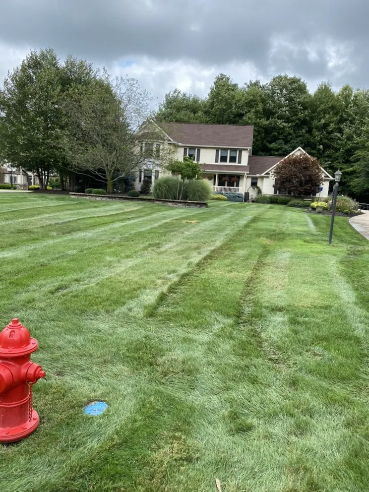 Reliable landscaping services in Painesville, OH - Junior's Professional Lawn Services & Construction