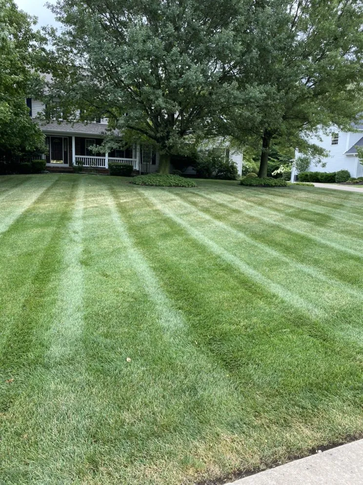 Top-rated lawn mowing service in Painesville, OH by Junior's Professional Lawn Services & Construction