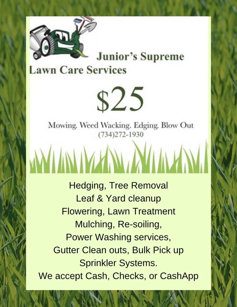 Expert yard cleanup service experts serving Dearborn, MI - Junior’s Supreme Lawn Care Services