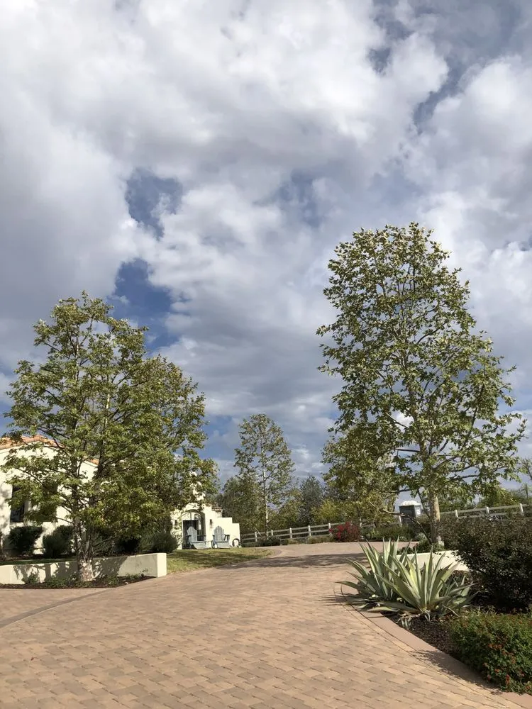 Top-rated landscaping services experts serving Simi Valley, CA - Junior's Tree Care