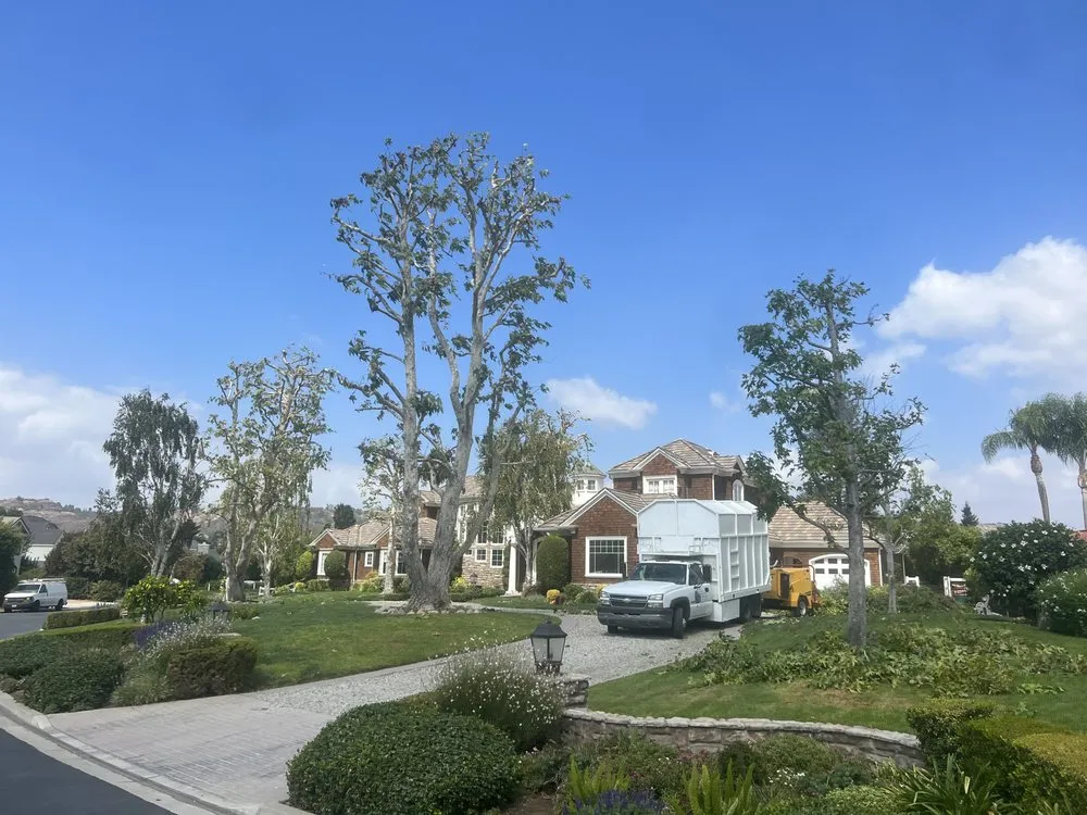 Custom landscaping services for beautiful yards across Simi Valley, CA - Junior's Tree Care