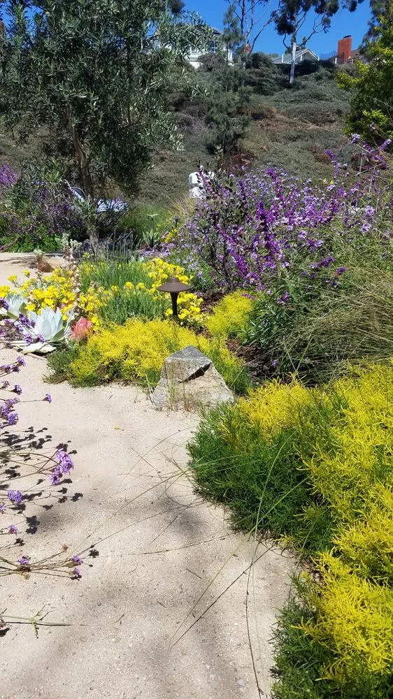 Top-rated yard cleanup service for beautiful yards in Long Beach, CA by Juniper Berry Landscapes