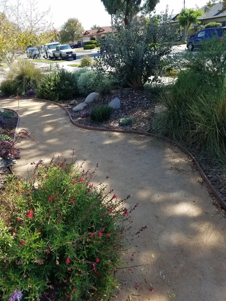 Reliable garden landscaping experts serving Long Beach, CA - Juniper Berry Landscapes