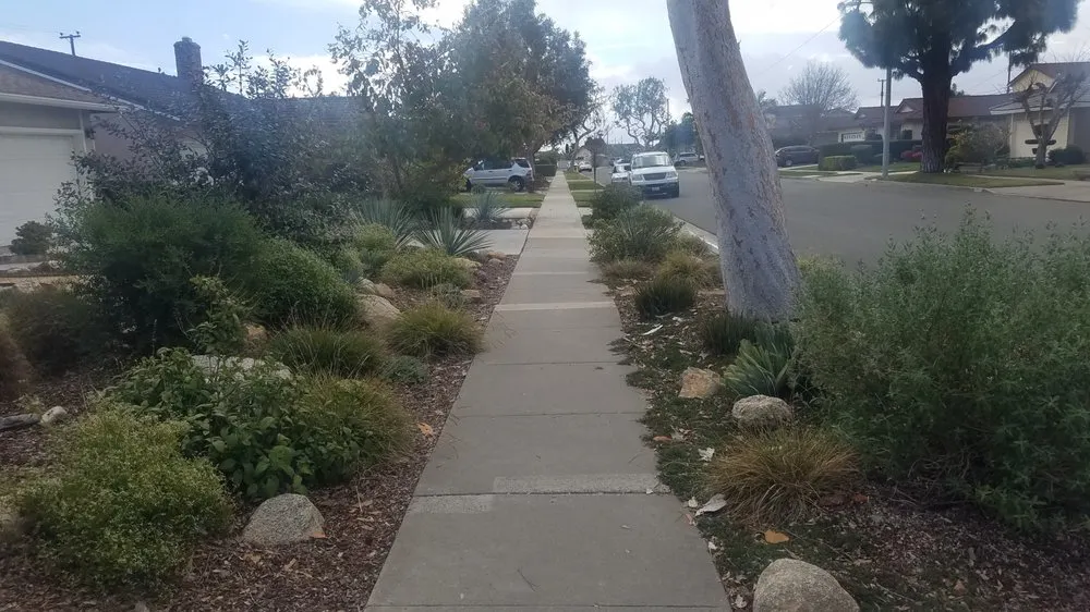 Top-rated landscape installation in Long Beach, CA by Juniper Berry Landscapes