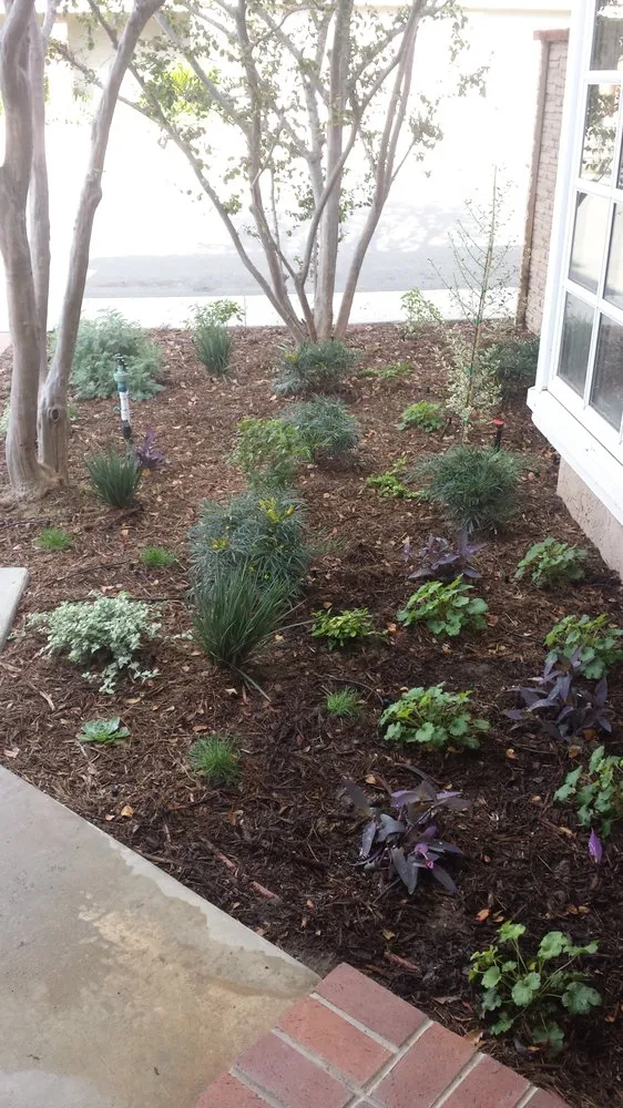 Custom garden landscaping for beautiful yards in Long Beach, CA by Juniper Berry Landscapes
