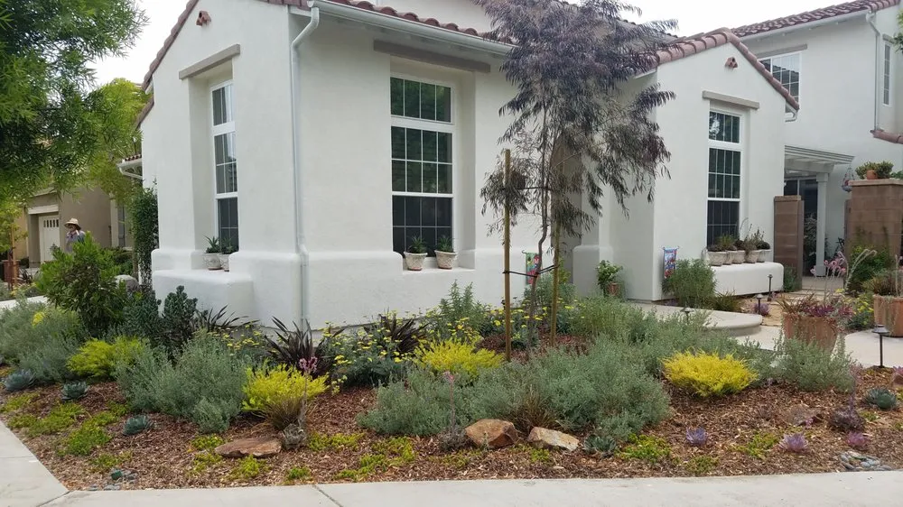 Custom lawn care service in Long Beach, CA by Juniper Berry Landscapes