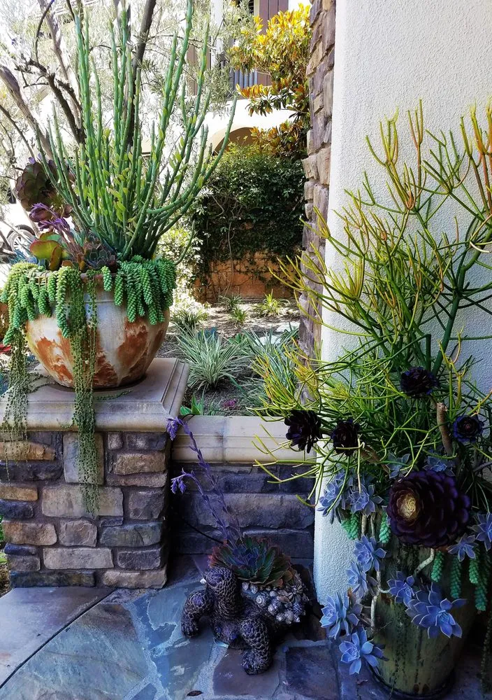 Trusted outdoor landscaping in Long Beach, CA by Juniper Berry Landscapes