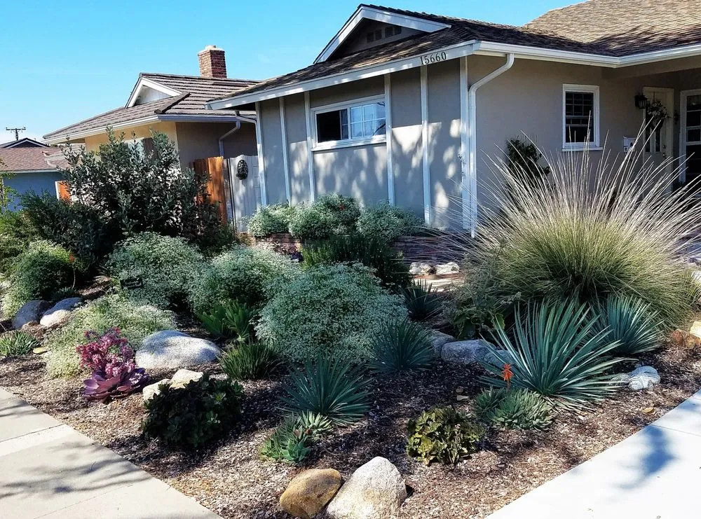 Trusted residential landscaping for beautiful yards across Long Beach, CA - Juniper Berry Landscapes