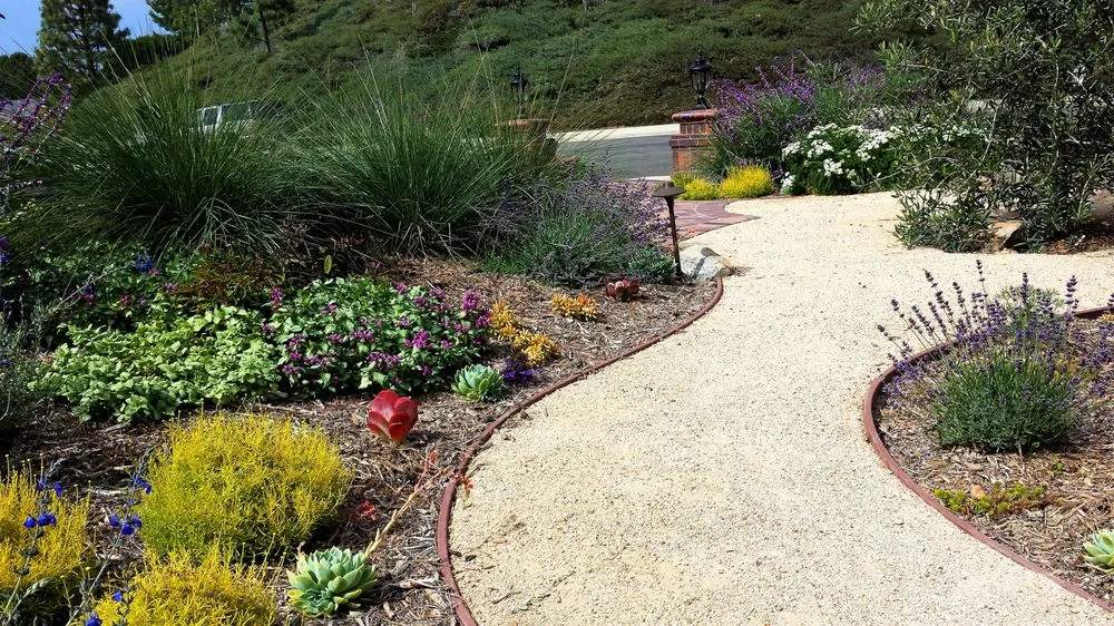 Expert residential landscaping for outdoor upgrades across Long Beach, CA - Juniper Berry Landscapes