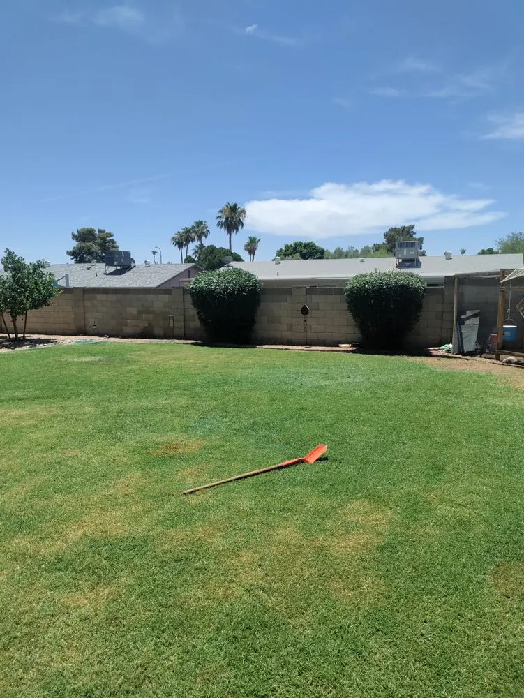 Expert garden landscaping in Mesa, AZ - Juniper Landscape & Tree Management