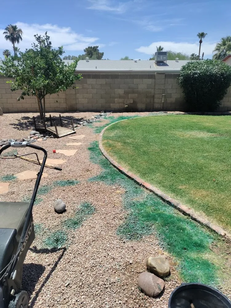 Reliable outdoor landscaping near you in Mesa, AZ by Juniper Landscape & Tree Management