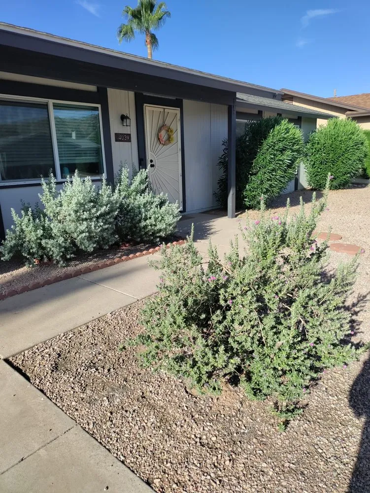 Local lawn mowing service for homes in Mesa, AZ by Juniper Landscape & Tree Management