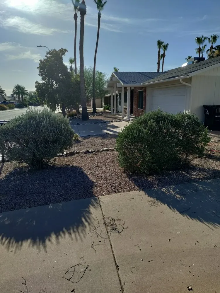 Reliable landscape installation in Mesa, AZ - Juniper Landscape & Tree Management