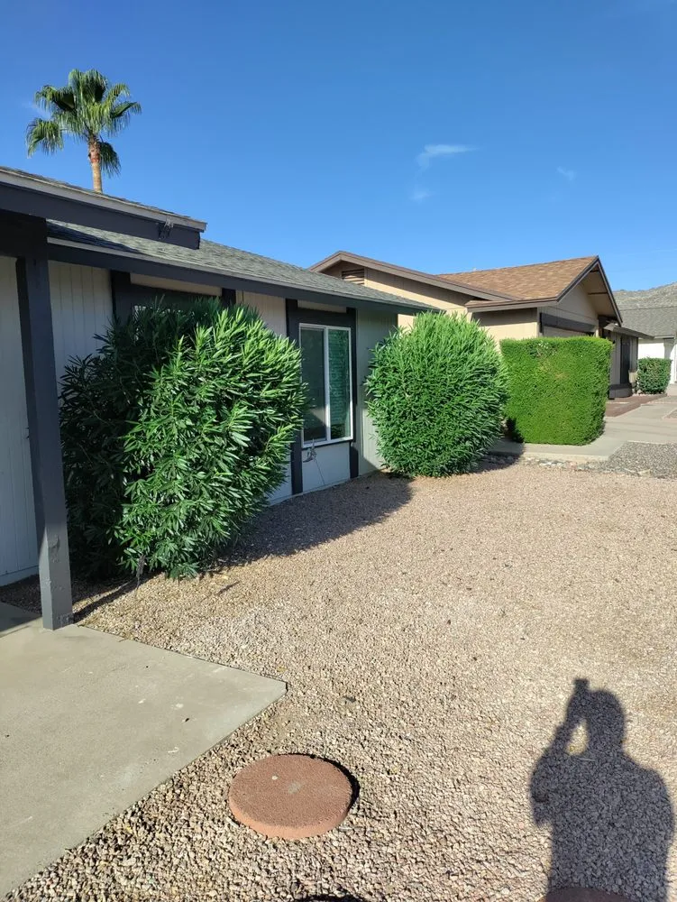 Trusted garden landscaping experts serving Mesa, AZ - Juniper Landscape & Tree Management
