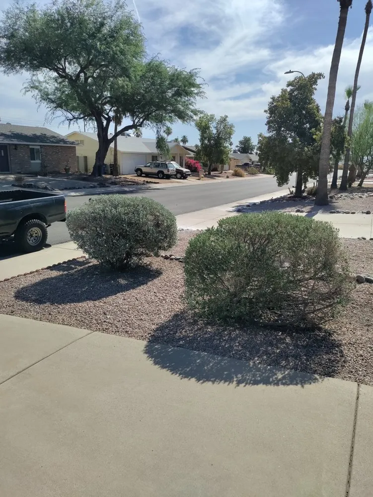 Custom lawn care service for homes across Mesa, AZ - Juniper Landscape & Tree Management