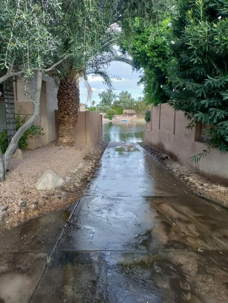 Expert lawn care service in Mesa, AZ by Juniper Landscape & Tree Management