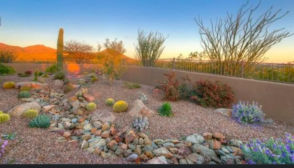 Custom landscaping services in Mesa, AZ - Juniper Landscape & Tree Management