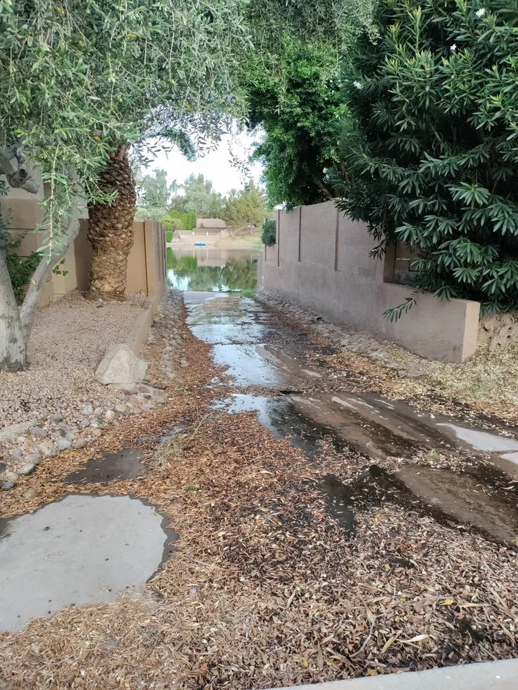 Affordable landscape design for beautiful yards across Mesa, AZ - Juniper Landscape & Tree Management