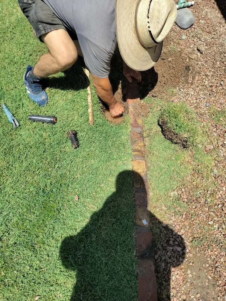 Professional lawn care service experts serving Mesa, AZ - Juniper Landscape & Tree Management