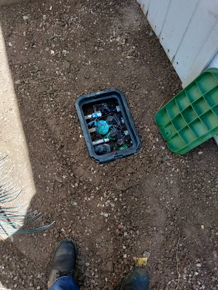 Affordable landscaping services in Mesa, AZ - Juniper Landscape & Tree Management