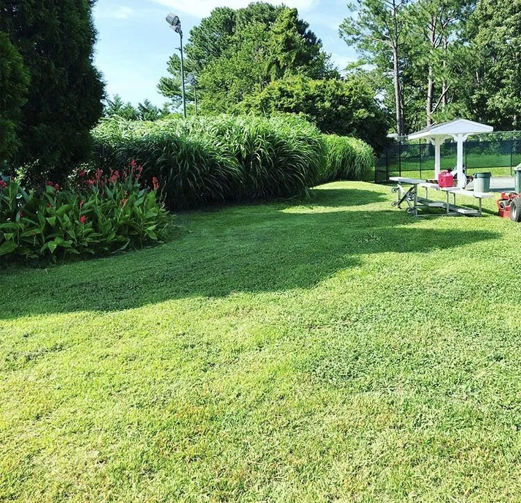 Reliable landscape installation in Virginia Beach, VA by Juniper Landscapes