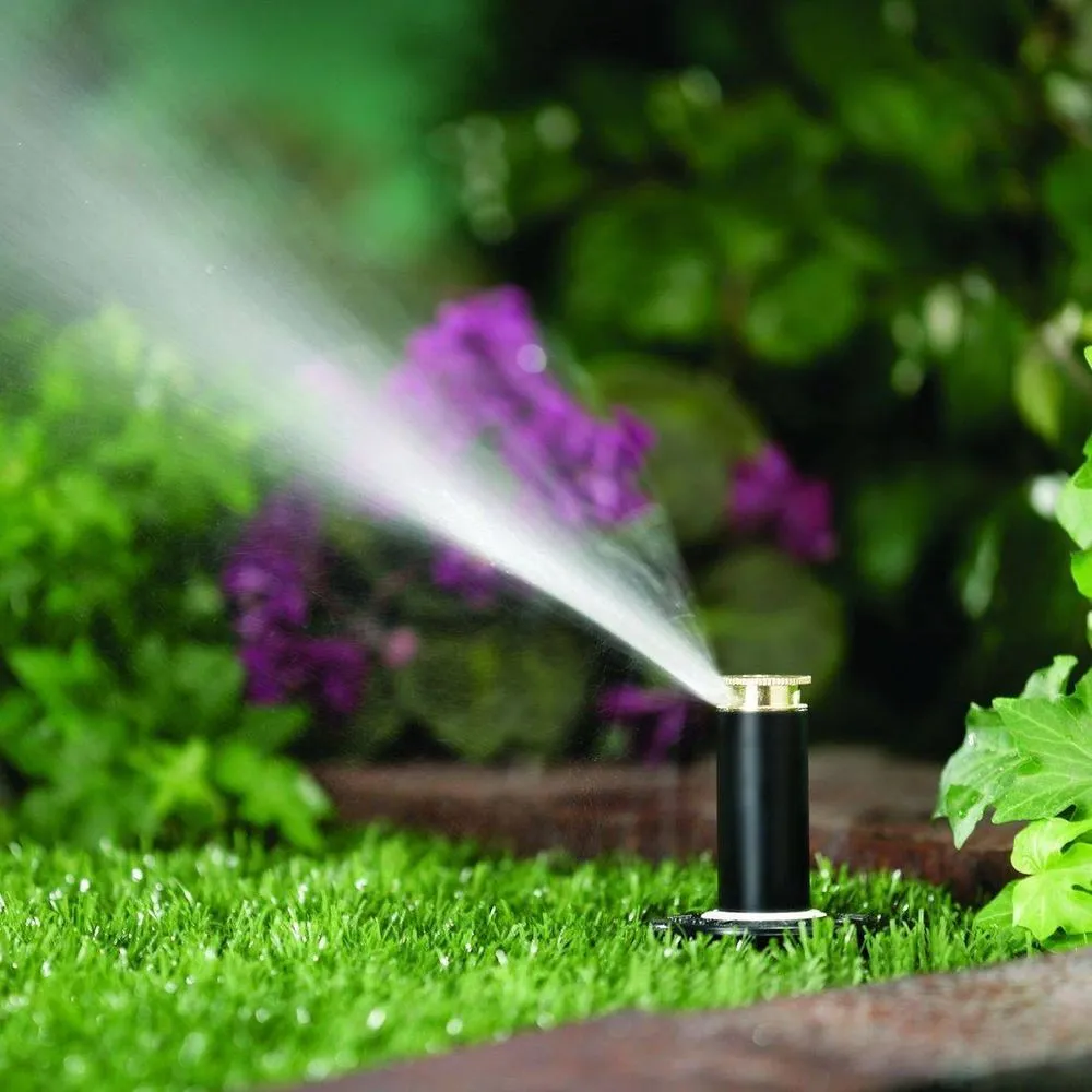 Local landscaping services for year-round maintenance across Virginia Beach, VA - Juniper Landscapes