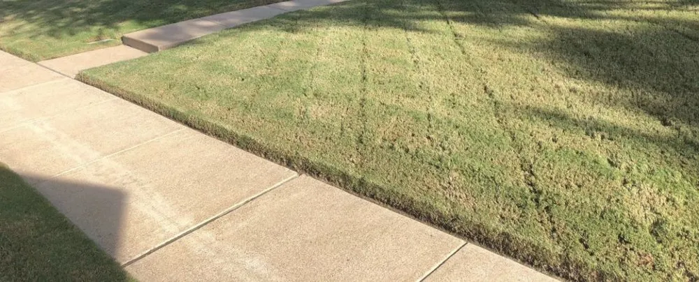 Affordable yard maintenance in Virginia Beach, VA - Juniper Landscapes