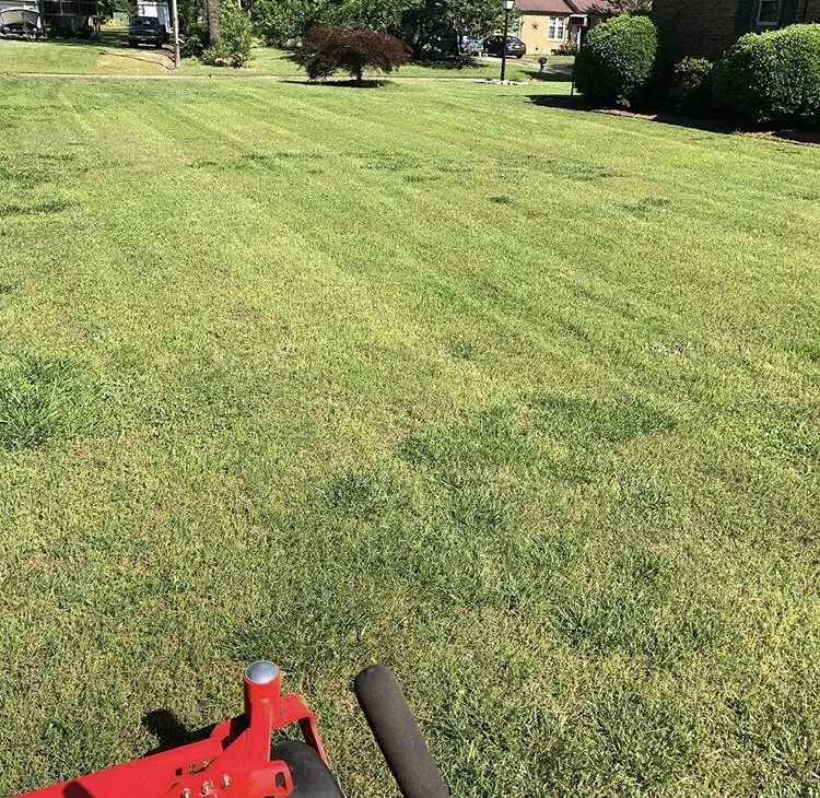 Trusted landscape installation in Virginia Beach, VA by Juniper Landscapes