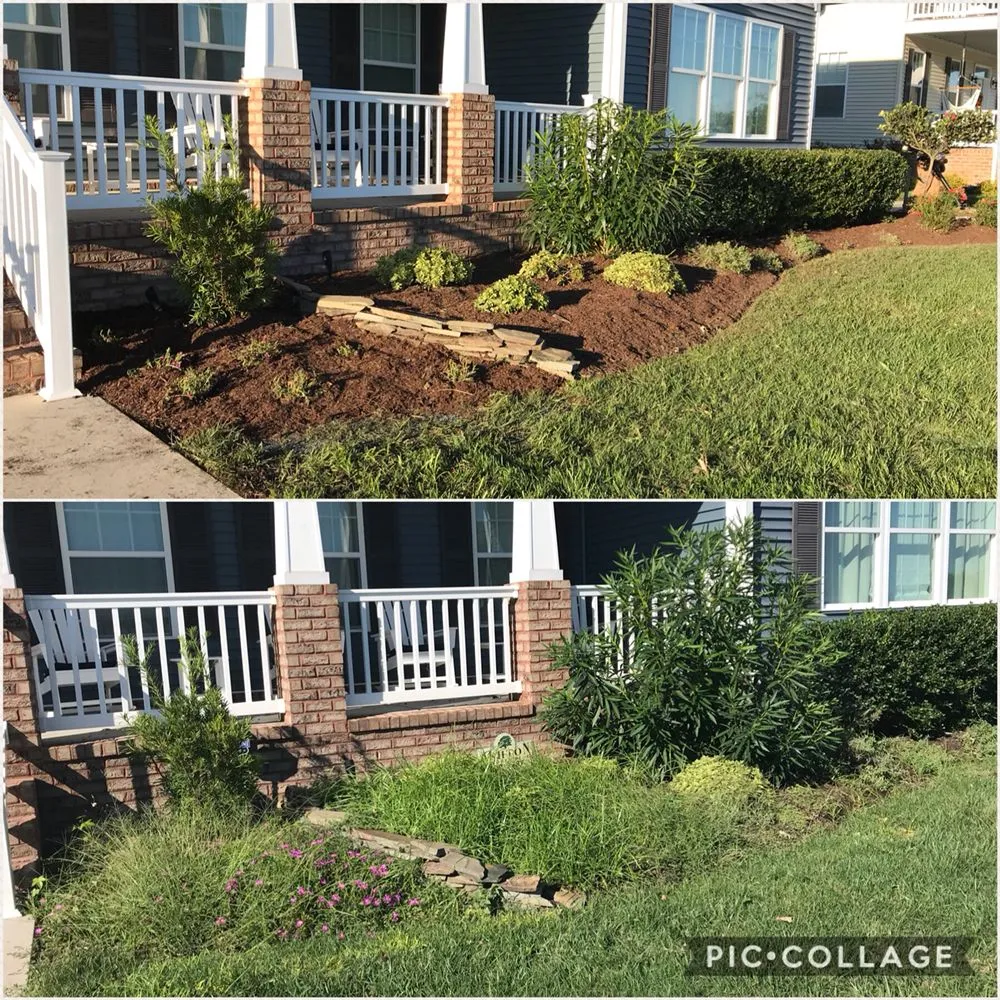 Custom yard cleanup service in Virginia Beach, VA by Juniper Landscapes