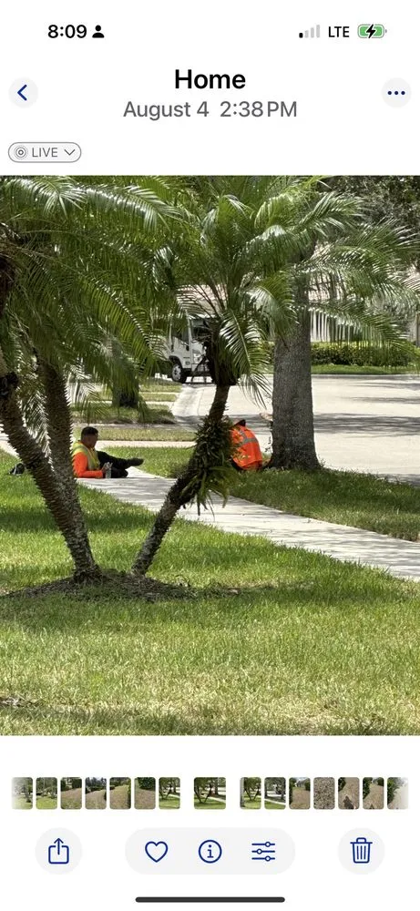 Top-rated lawn mowing service experts serving Fort Myers, FL - Juniper Landscaping