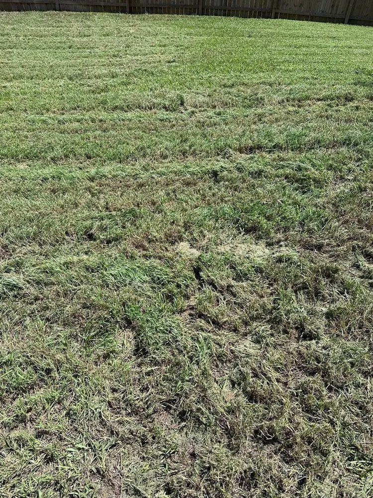 Trusted residential landscaping experts serving Fort Myers, FL - Juniper Landscaping