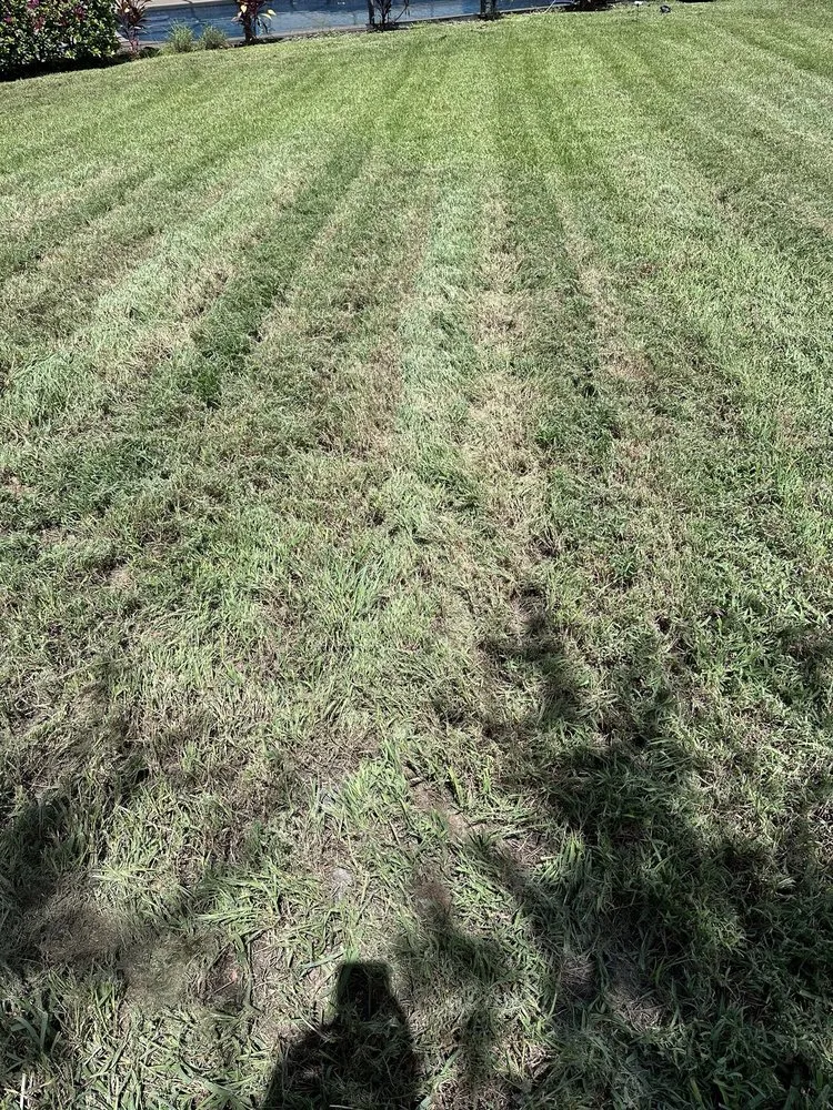 Expert yard maintenance for beautiful yards across Fort Myers, FL - Juniper Landscaping