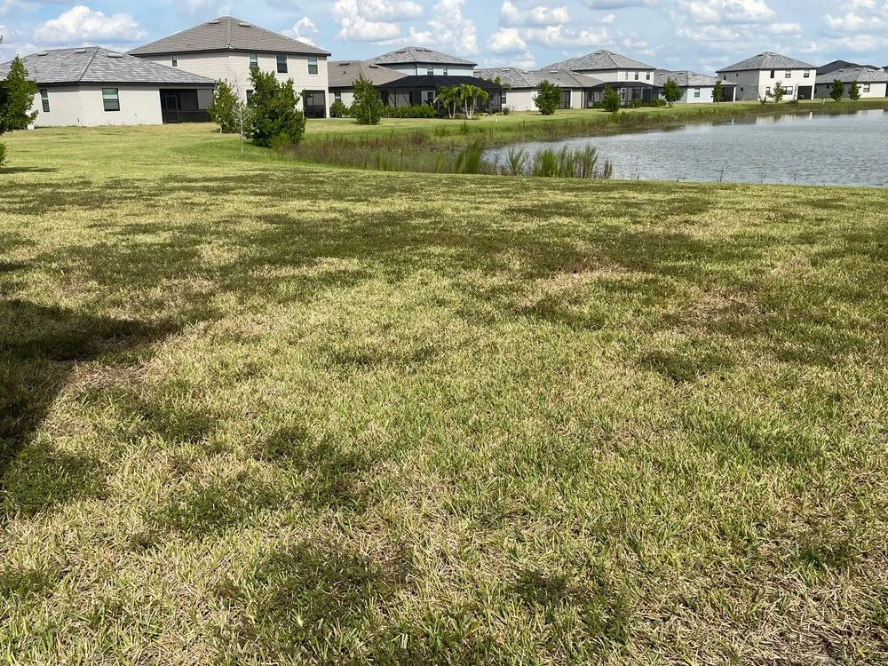 Top-rated residential landscaping experts serving Fort Myers, FL - Juniper Landscaping