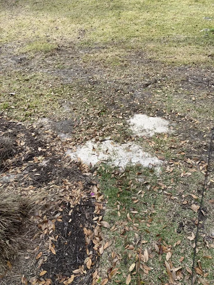 Custom yard maintenance with custom design across Fort Myers, FL - Juniper Landscaping