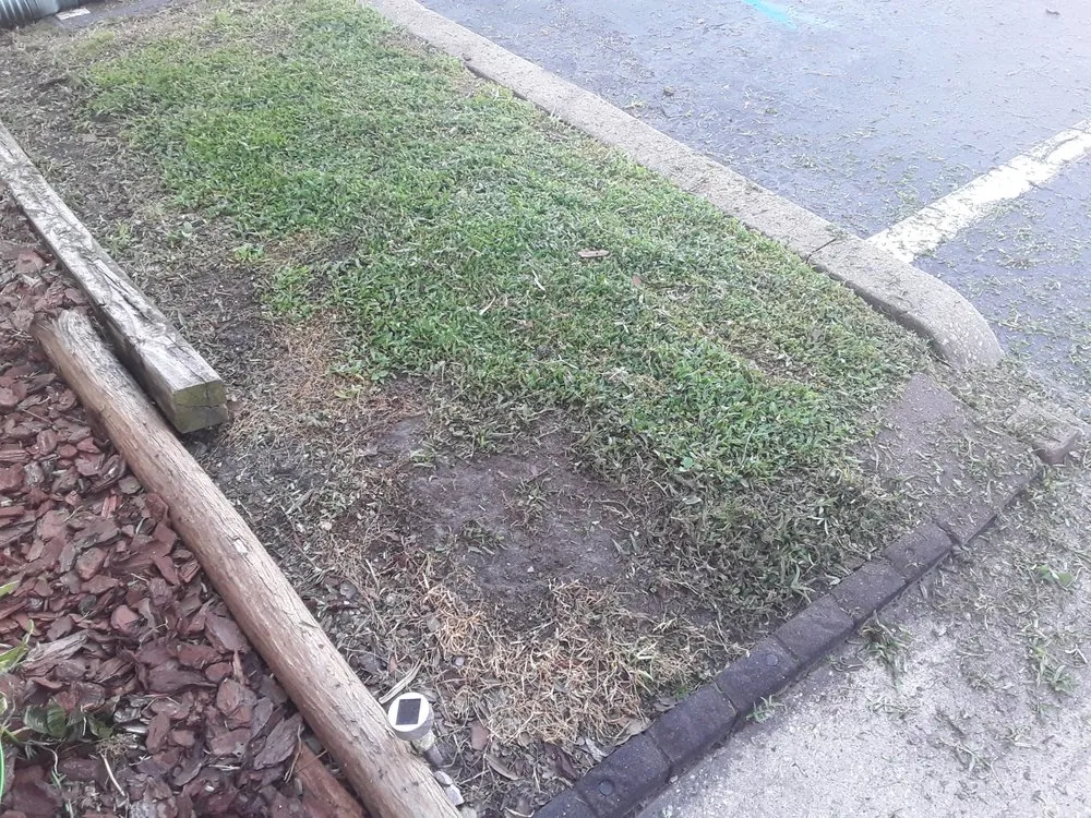 Top-rated garden landscaping in Fort Myers, FL - Juniper Landscaping