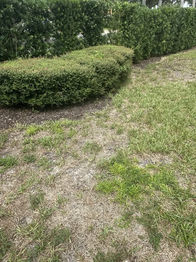 Affordable landscape design experts serving Fort Myers, FL - Juniper Landscaping