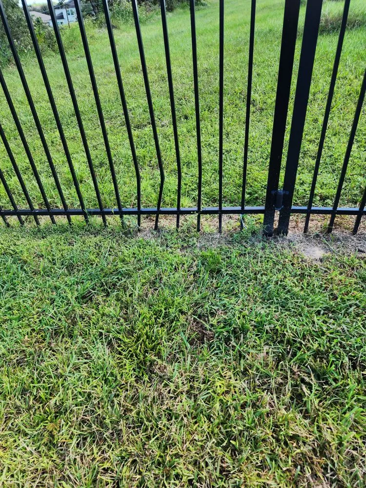 Reliable landscaping services experts serving Fort Myers, FL - Juniper Landscaping