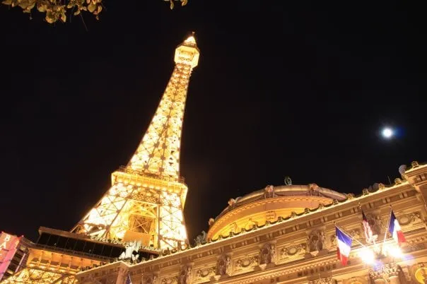 Local residential landscaping near you in Fort Myers, FL by Juniper Landscaping