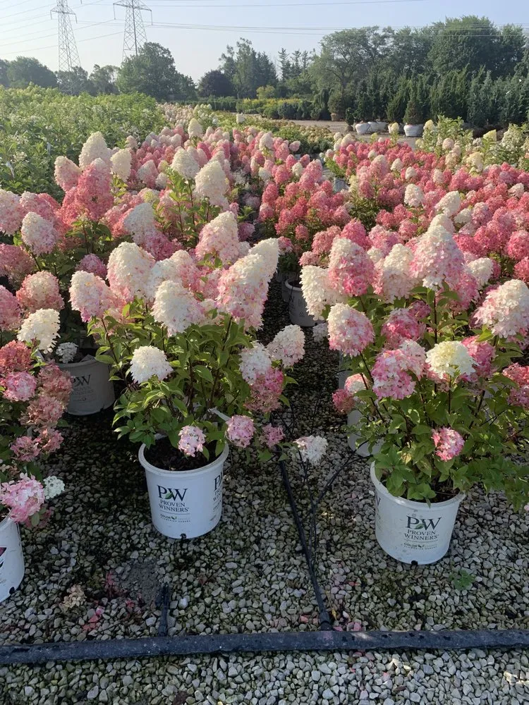 Custom lawn mowing service for beautiful yards across Lake Villa, IL - Juniper Landscaping