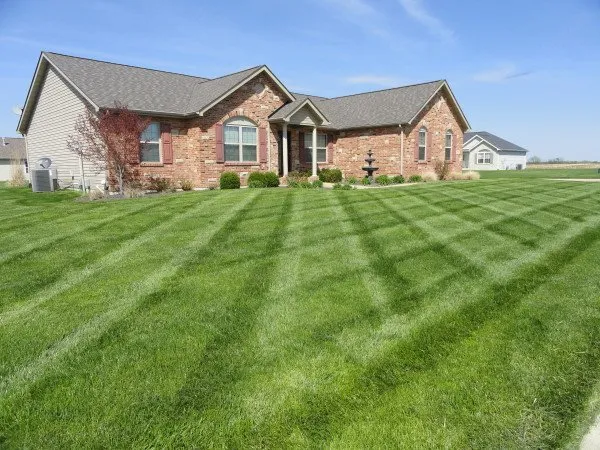 Top-rated lawn mowing service for outdoor upgrades in Lake Villa, IL by Juniper Landscaping